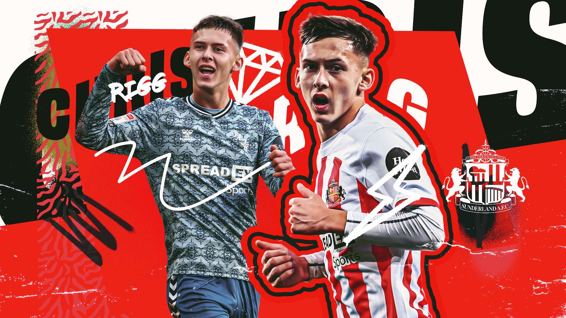 的高度称赞 的高度称赞