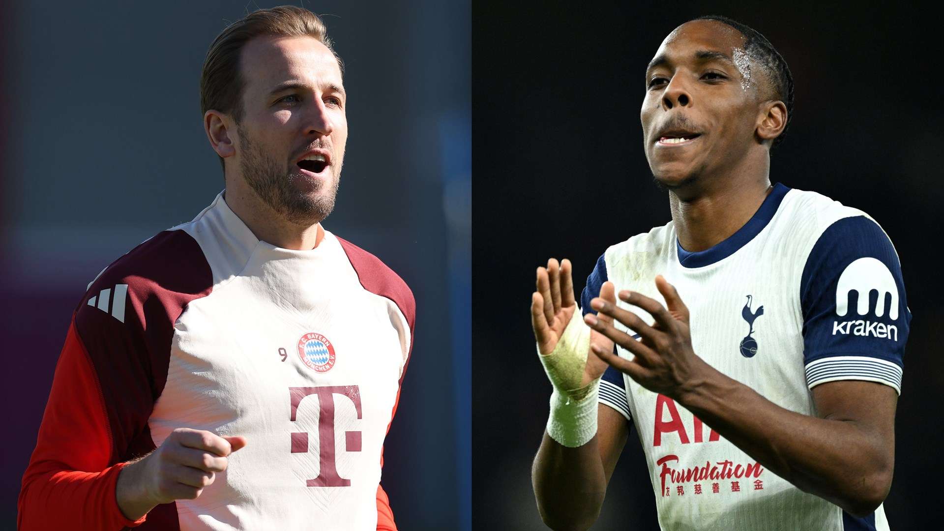 意大利国家 意大利国家