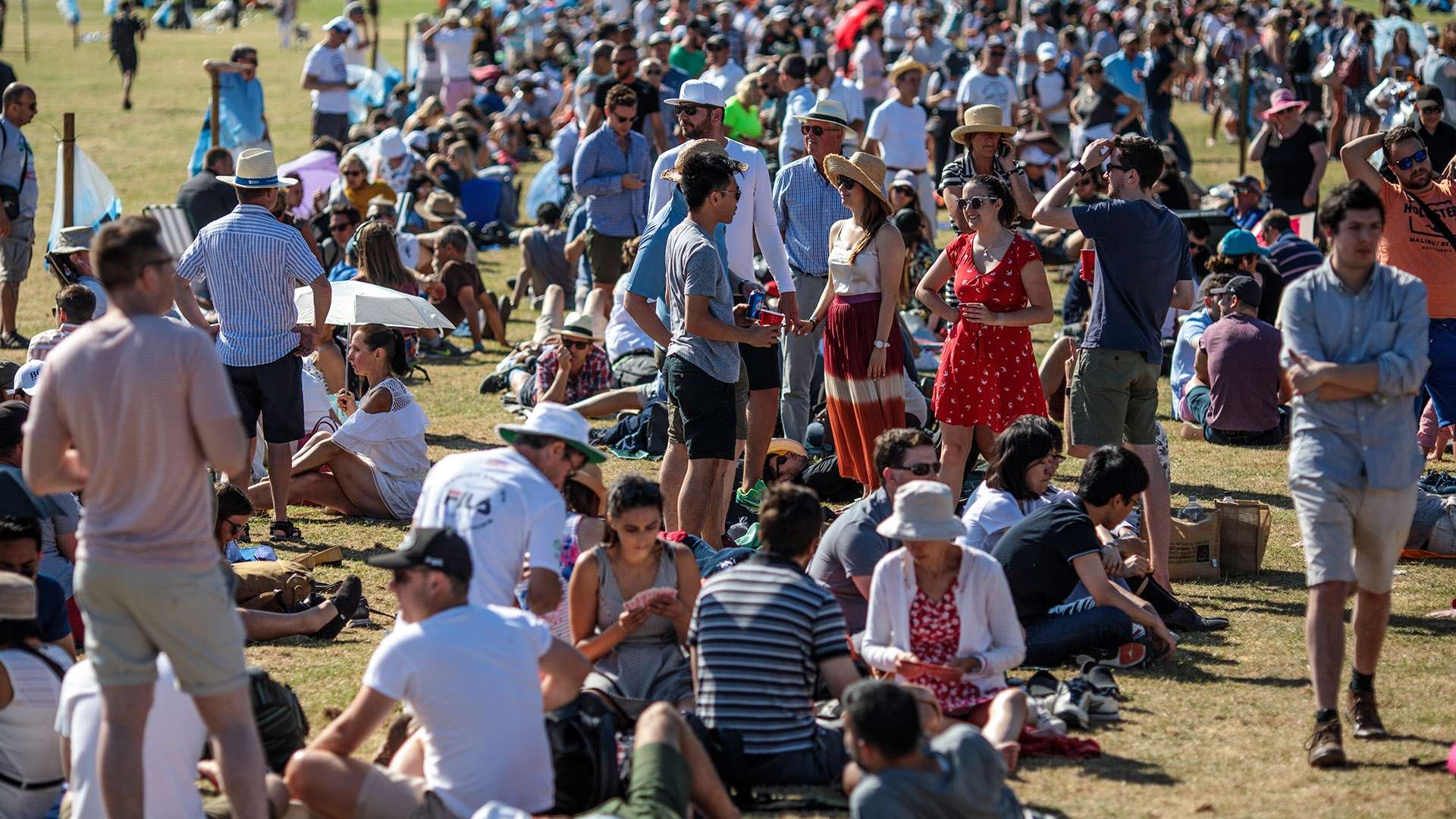 却引发了巨 却引发了巨